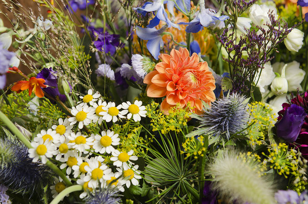 Afscheidsbloemen paars & oranje